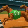 dog racing master game