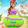 princess pet rescuer