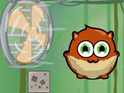 Orašasti geneza između zimsko sezona